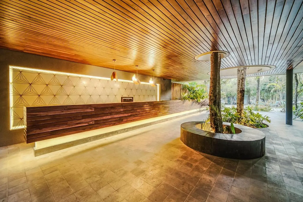 Divine 1Br Ph With Private Pool And Spectacular Pools Apartment Tulum
